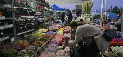 Цветна борса „Ботевградско шосе“