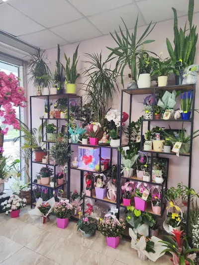 Yoana Flowers