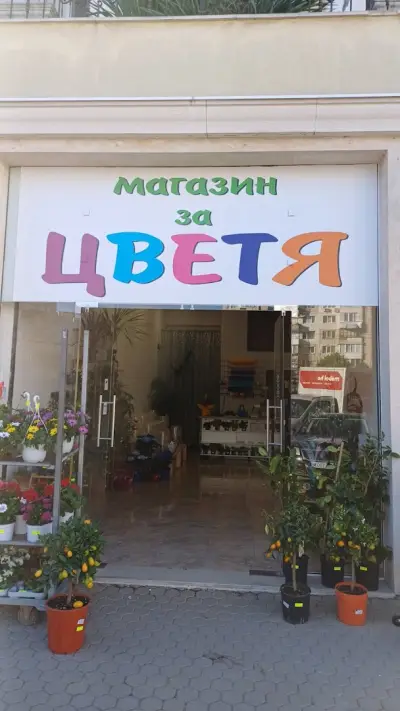 Магазин за цветя Люлин 7