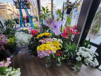 Магазин за цветя и Градински център Емералд