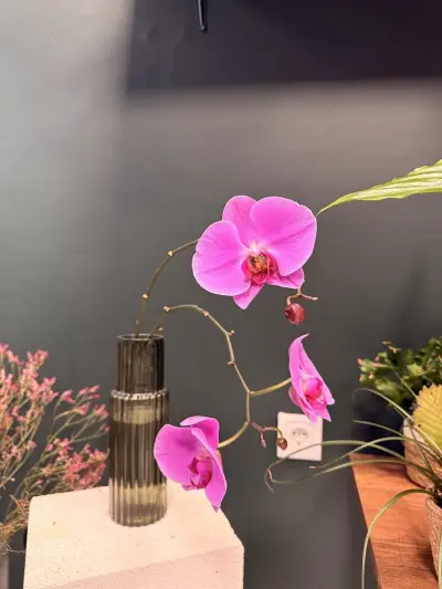 IRIDA FLOWERS