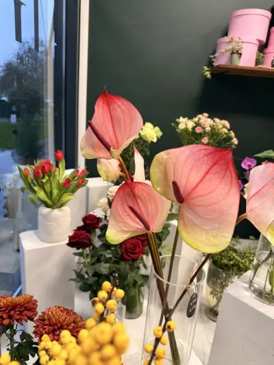 IRIDA FLOWERS