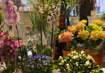 Магазин Tatiana Flowers-цветя, подаръци Коматево