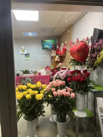 Цветя Маргото