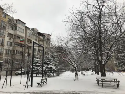 ЕЛС - ЕВГЕНИЯ ИГНАТОВА -1998 ЕООД
