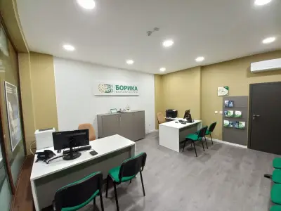BORICA AD