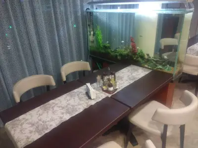 Тремол ООД