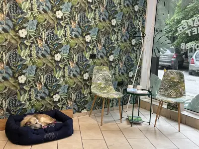 Vet Doctor - Ветеринарен Кабинет Д-р Тодоров
