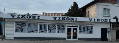 Vikoni