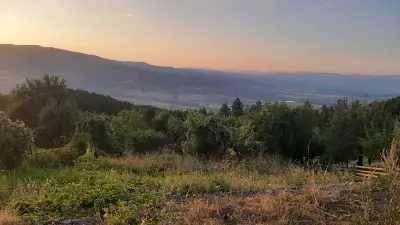 Вековни секвои