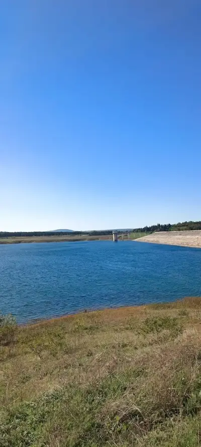 Резон ООД