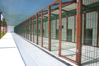 хотел за кучета Доктор Кости