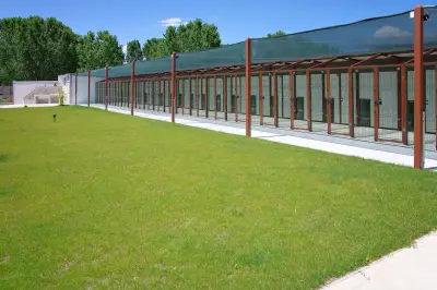 хотел за кучета Доктор Кости