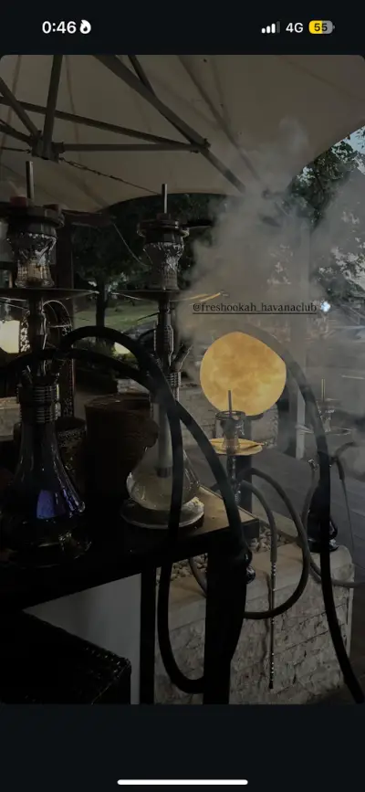 Fresh Hookah Havana Club