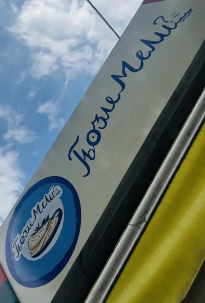 Gyozlemeli