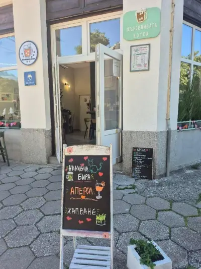 Мързеливата котка