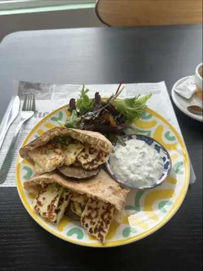 Мързеливата котка