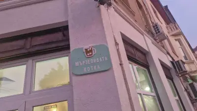 Мързеливата котка