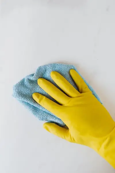 Clean Labs