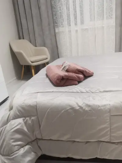 Bella Apartment