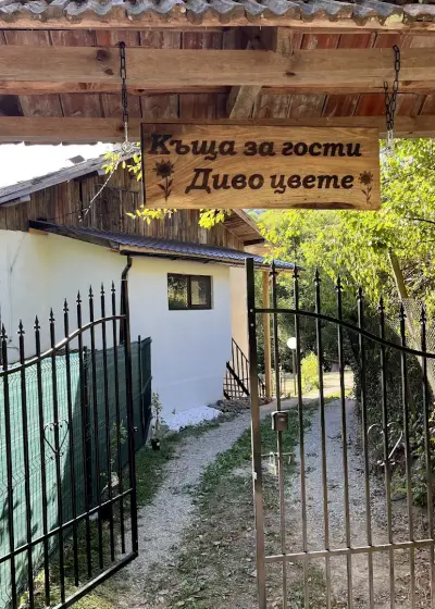 Къща за гости "ДИВО ЦВЕТЕ"