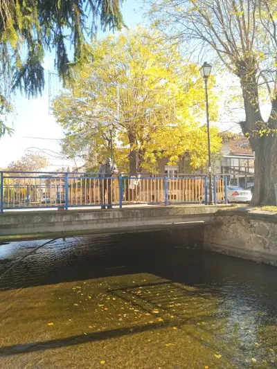 Мостът на Лютата