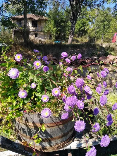 Старата Къща