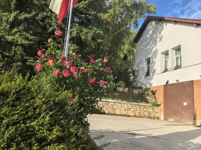 Къща за гости Брезите