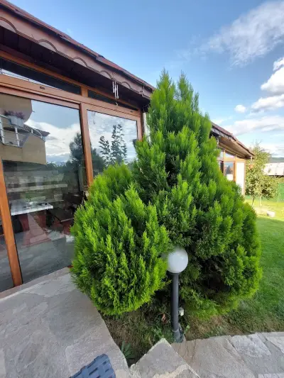 Guest House Holiday