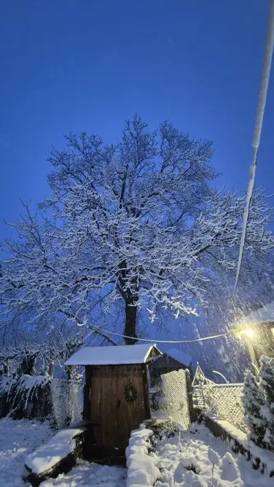Таракчиевата къща 🏡