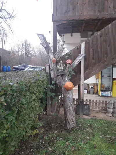 Данината къща