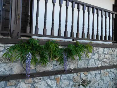 Guesthouse Trite Kambani