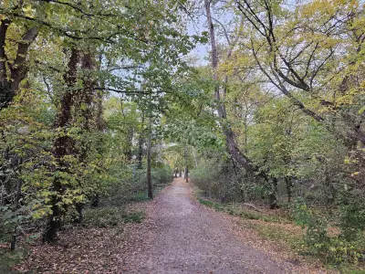 Парк „Отдих и култура“