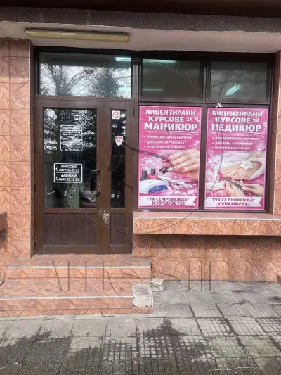 Алекс Стил