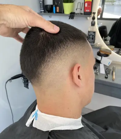 MeoBarbero