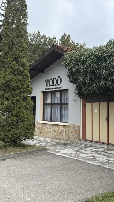 Studio Todö, Stefani Todorova PMU