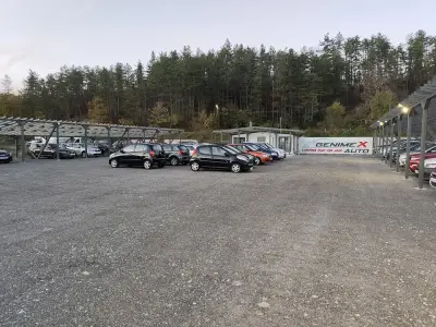 GenimeX Auto