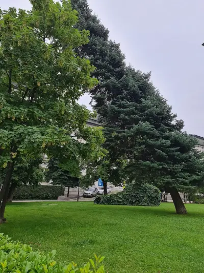 Градината на Галерия „Квадрат 500“