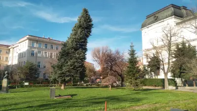 Градината на Галерия „Квадрат 500“