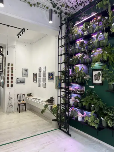 Sofia Green Gallery