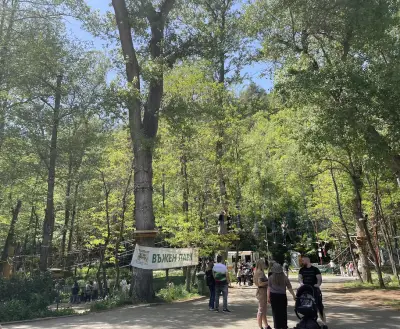 Kokolandia High Rope Park