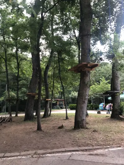 Kokolandia High Rope Park
