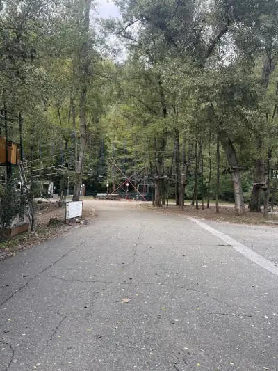 Kokolandia High Rope Park