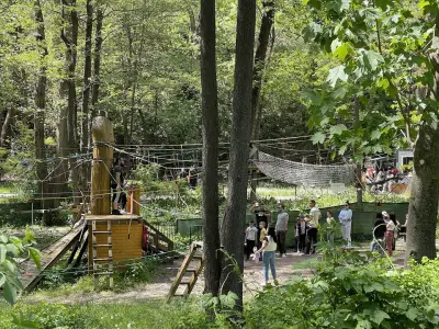 Kokolandia High Rope Park
