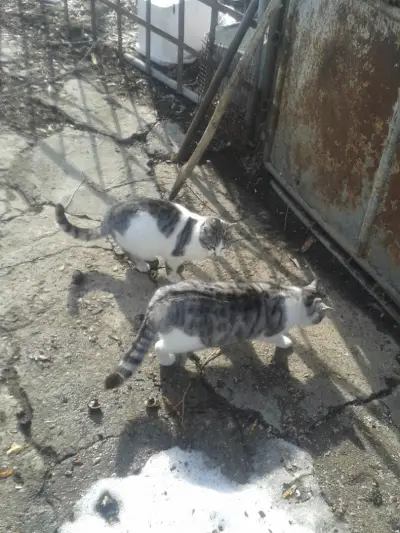Стадион Берое С.Загоре