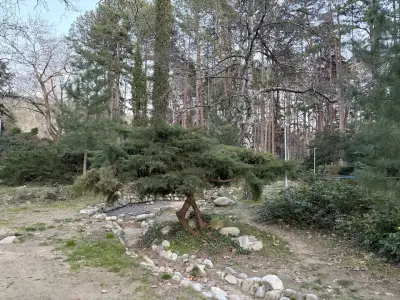 Център сандански