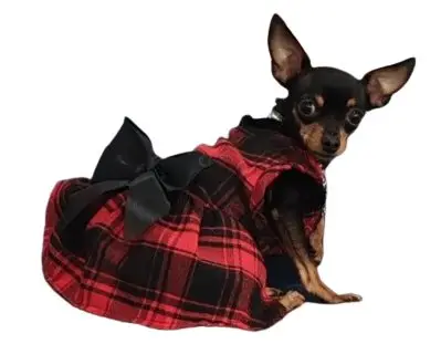 Марина Вет