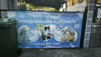 Марина Вет