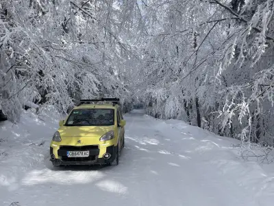 Taxi🚕Gogo Borovets Samokov