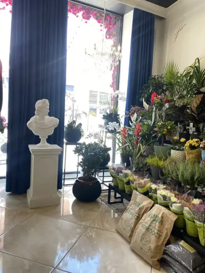 Магазин за цветя FlorAmour Видин - Център